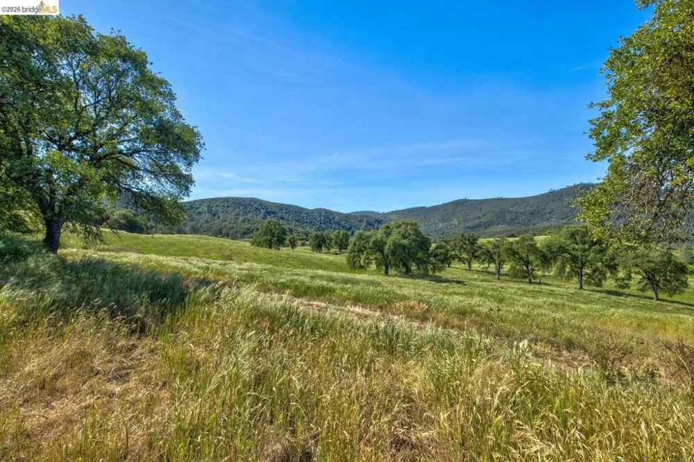 4780 Mary Harrison Mine Rd Coulterville, CA 95311