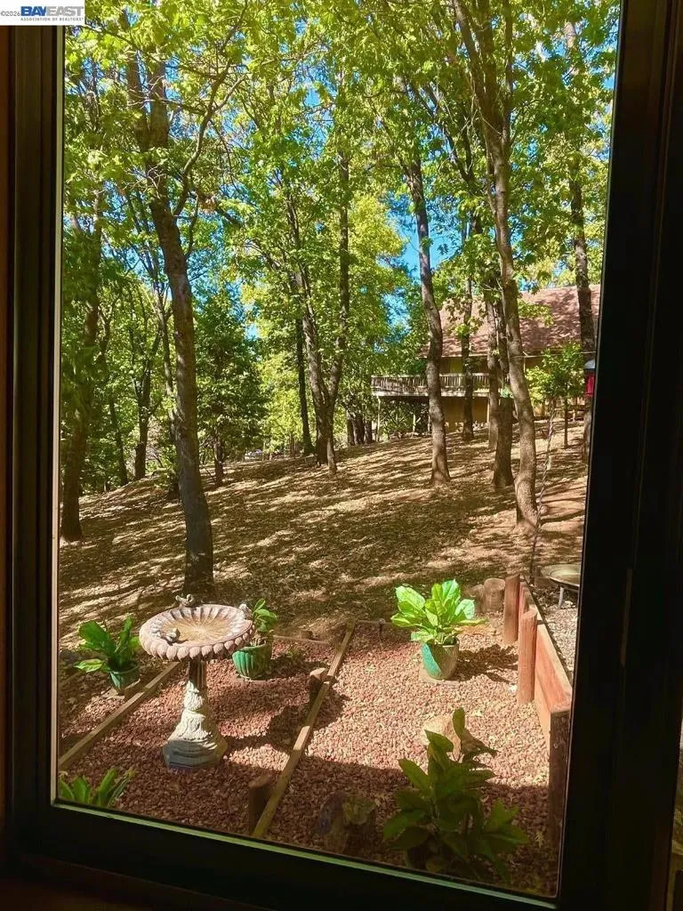 24217 Appaloosa Way Sonora, CA 95370