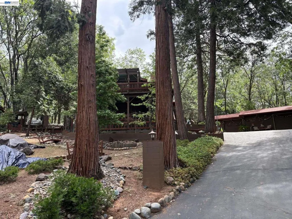 24217 Appaloosa Way Sonora, CA 95370