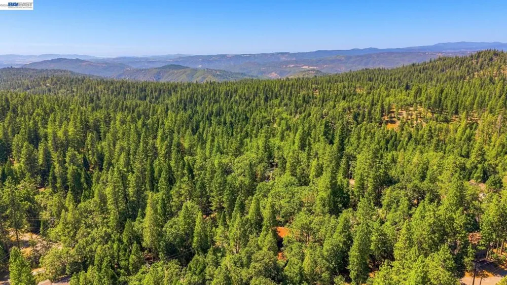 24217 Appaloosa Way Sonora, CA 95370