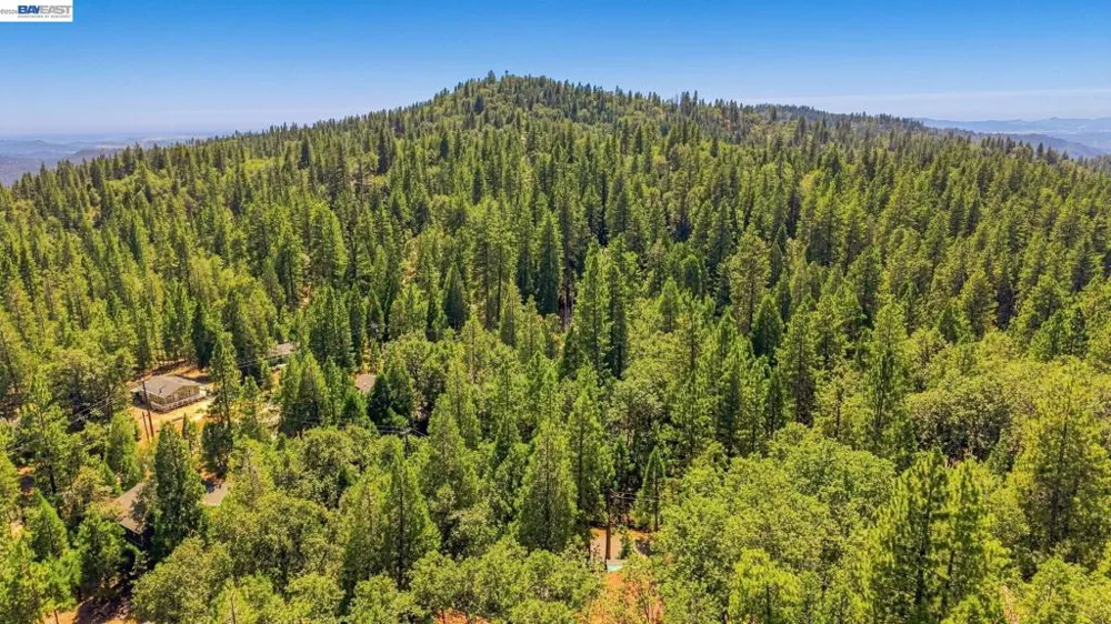 24217 Appaloosa Way Sonora, CA 95370