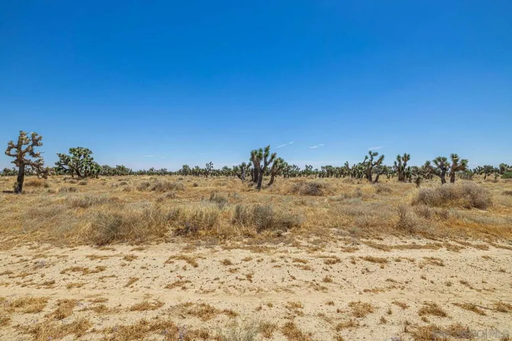 W AVE B Lancaster, CA 93536