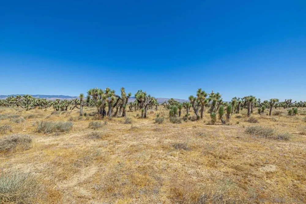 W AVE B Lancaster, CA 93536