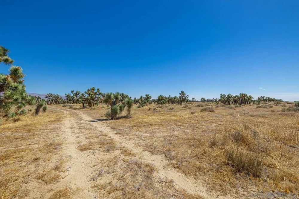 W AVE B Lancaster, CA 93536