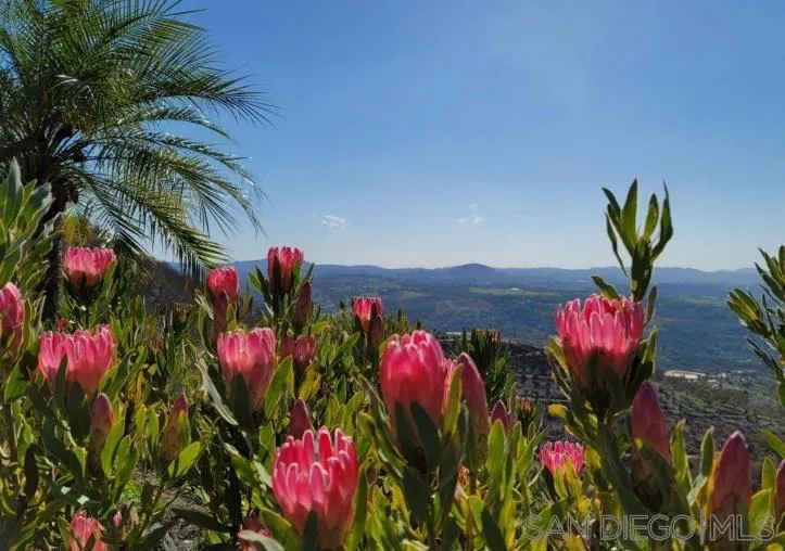 13155 McNally Road Valley Center, CA 92082