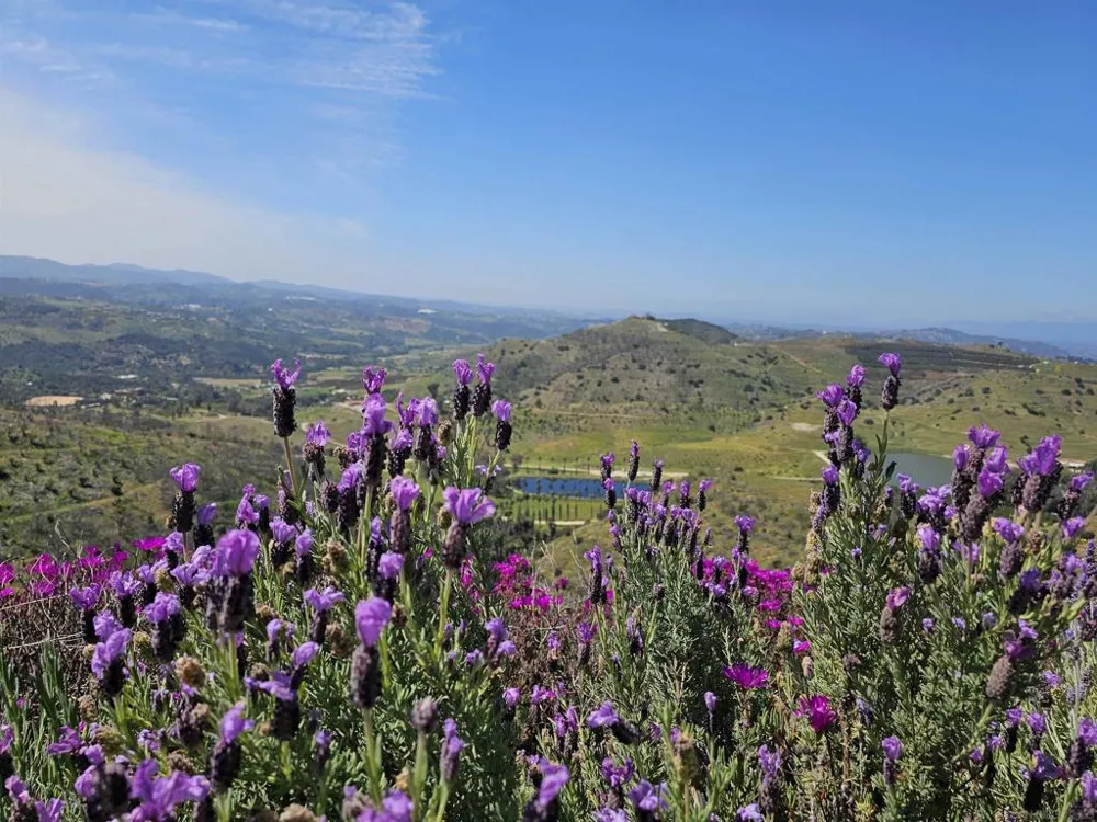 13155 McNally Road Valley Center, CA 92082