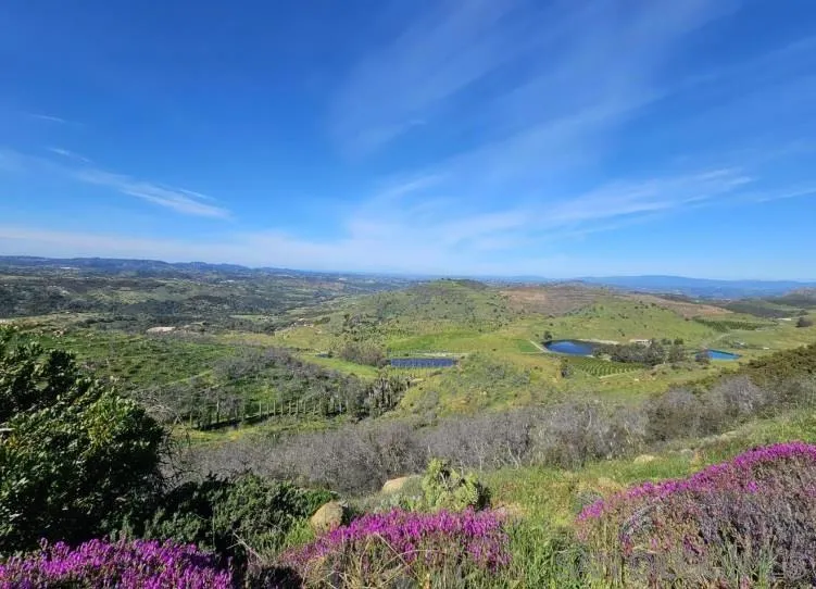 13155 McNally Road Valley Center, CA 92082