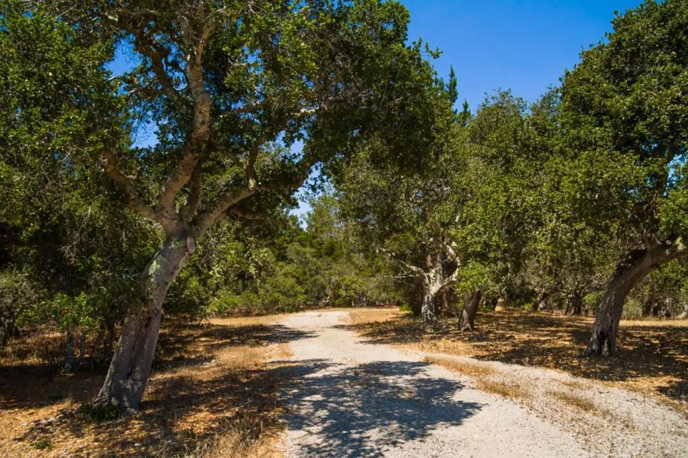 25600 Via Malpaso Carmel, CA 93923