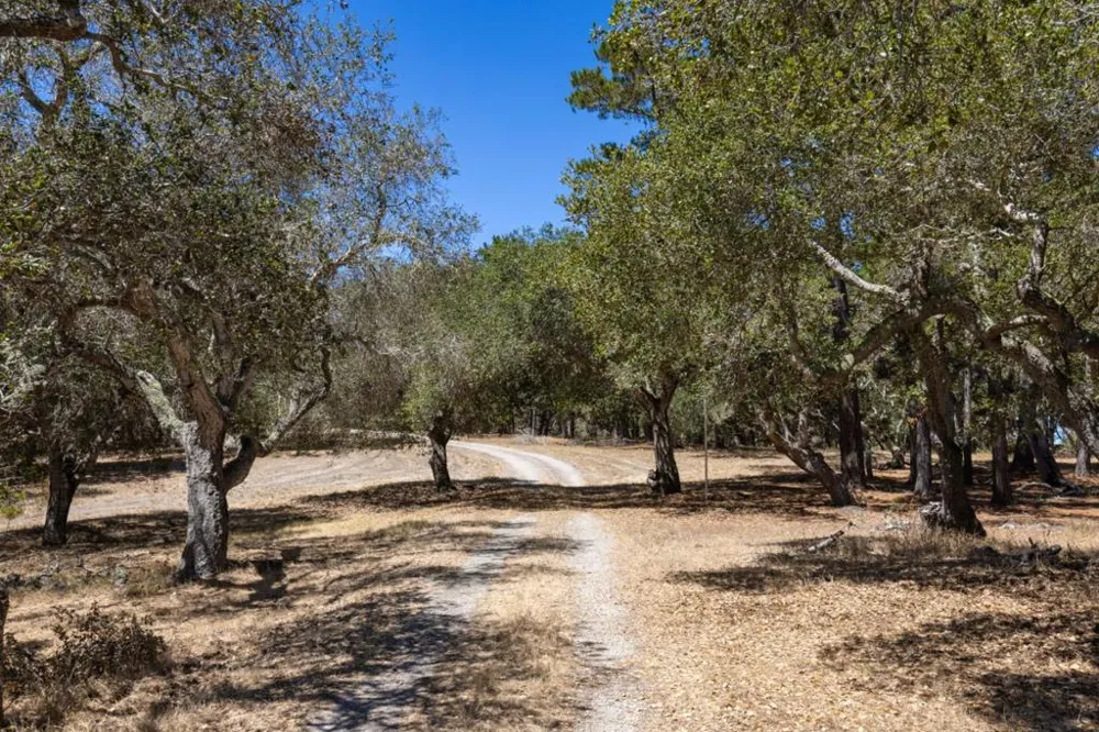 25600 Via Malpaso Carmel, CA 93923