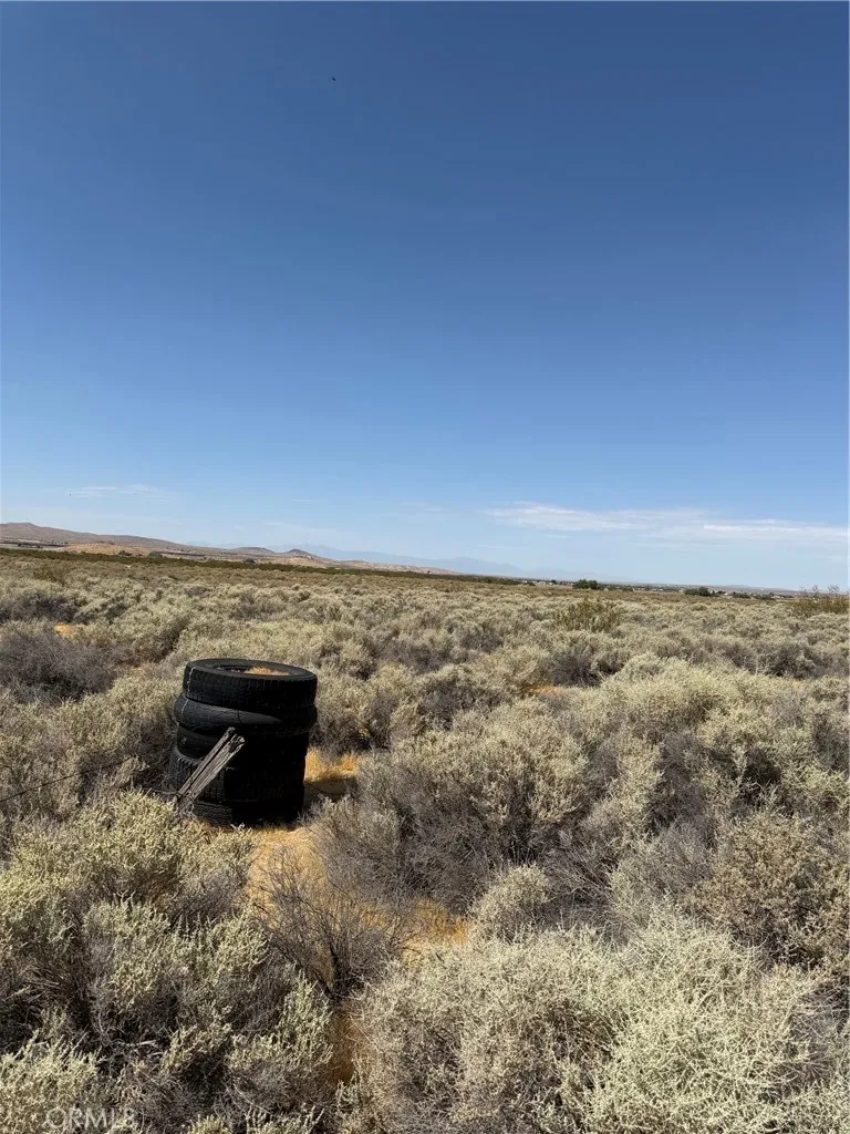 Wheeler Helendale, CA 92342