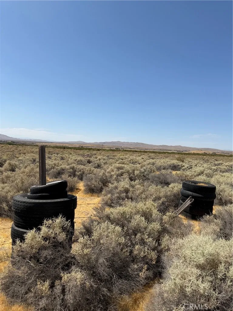 Wheeler Helendale, CA 92342