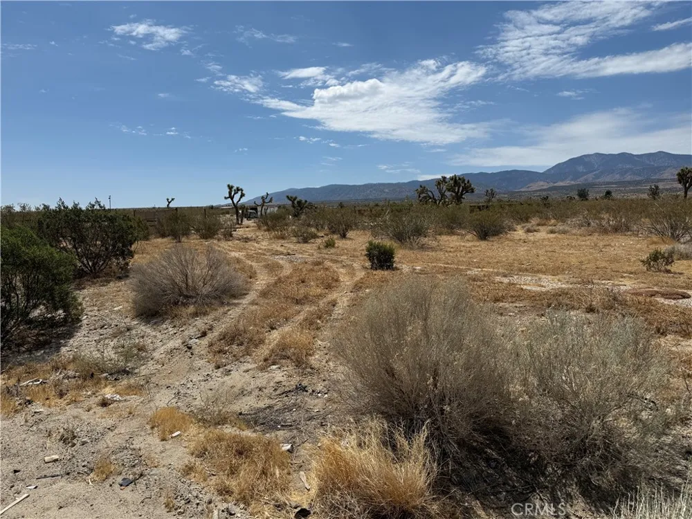 PB HWY VIC 187th Street E Llano, CA 93544