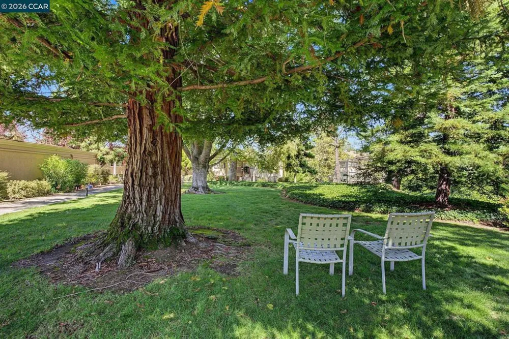 1108 Fairlawn Court #8 Walnut Creek, CA 94595