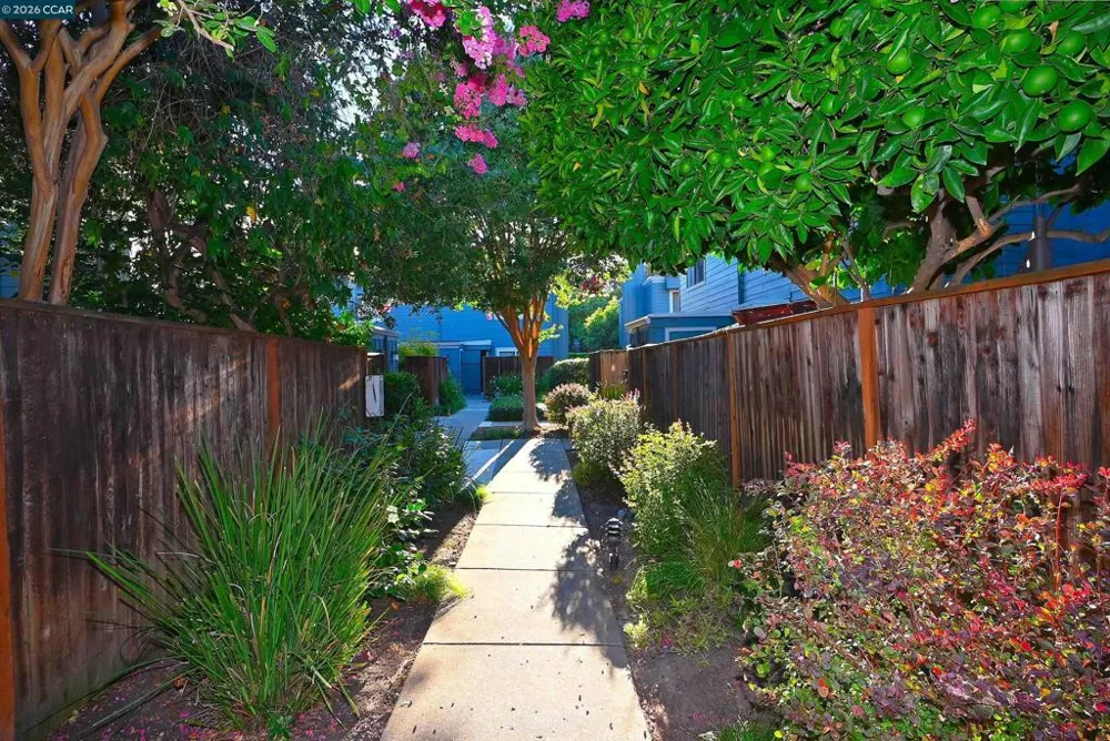 1290 Honey Trail Walnut Creek, CA 94597