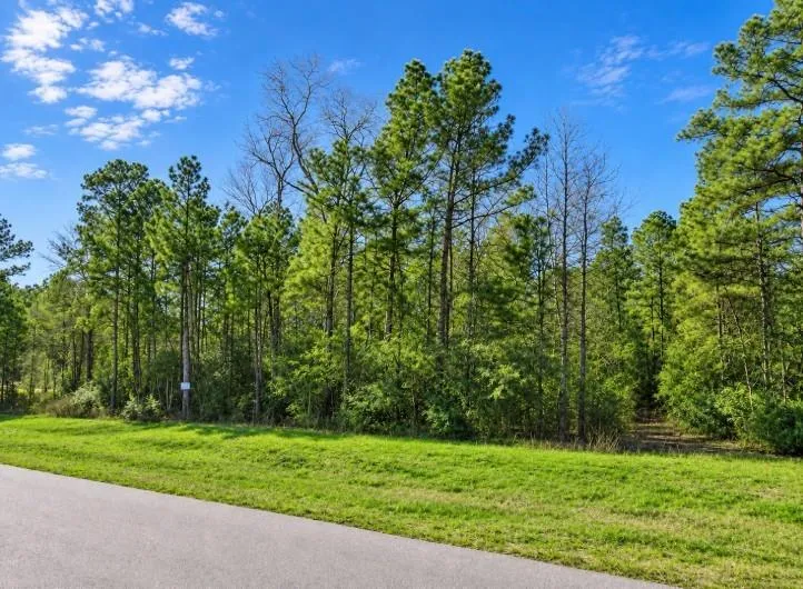 10 Lonestar Road Huntsville, TX 77340