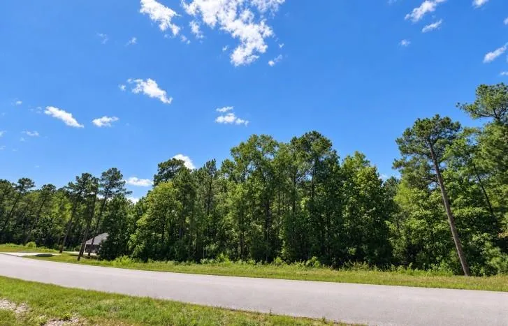 10 Lonestar Road Huntsville, TX 77340