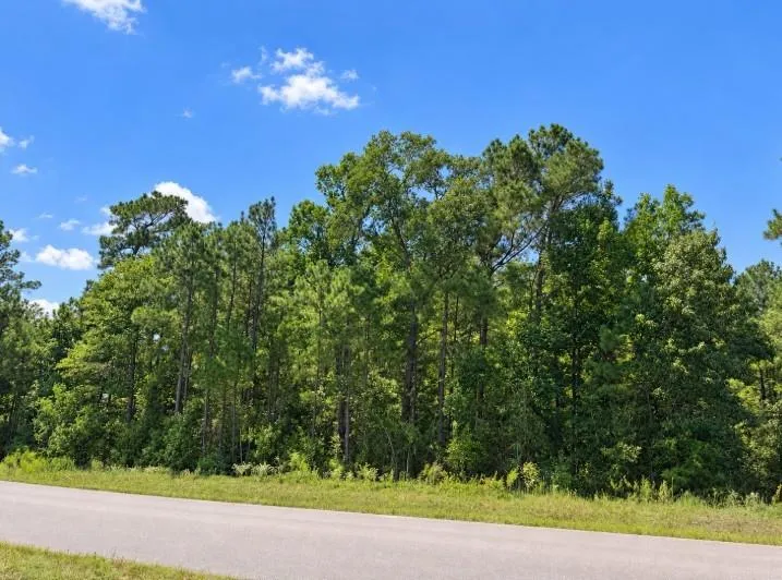 10 Lonestar Road Huntsville, TX 77340