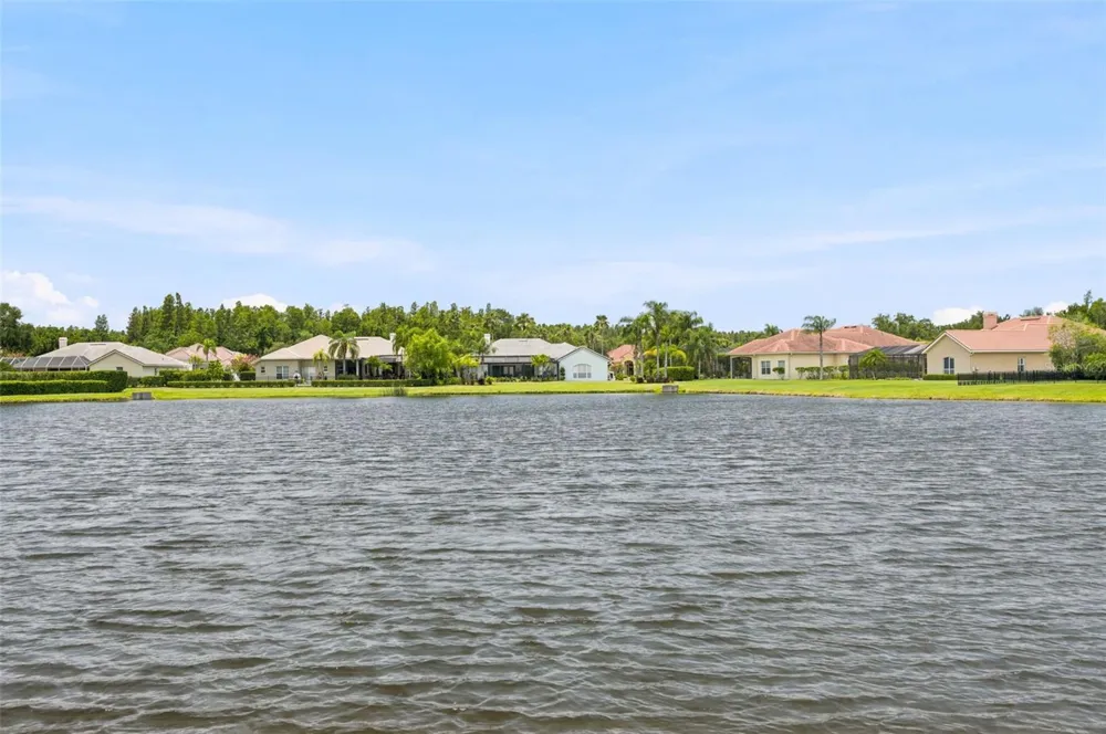 4618 AVENUE LONGCHAMPS Lutz, FL 33558