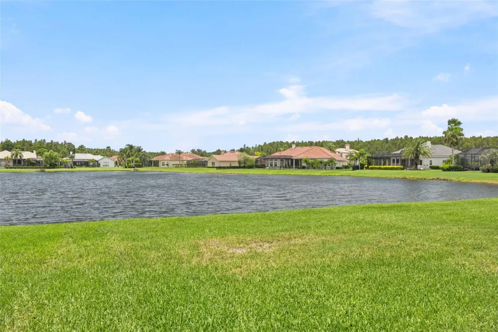 4618 AVENUE LONGCHAMPS Lutz, FL 33558