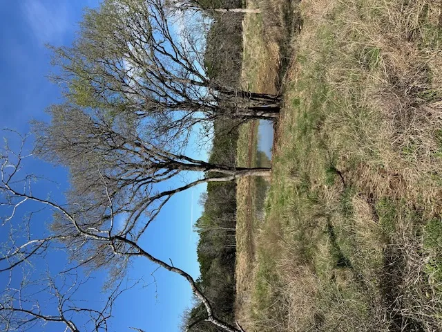 CR 418 San Saba, TX 76877