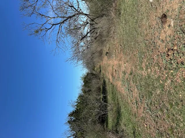 CR 418 San Saba, TX 76877