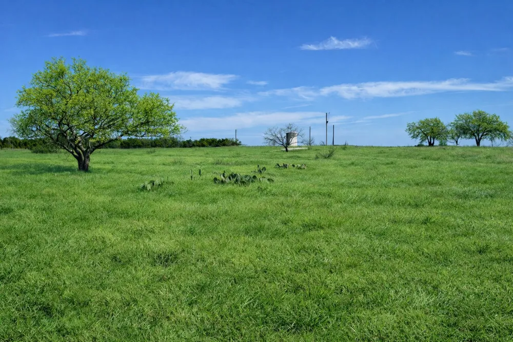 View Circle Lampasas, TX 76550
