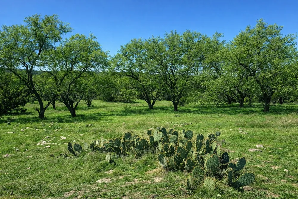 View Circle Lampasas, TX 76550