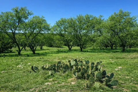 View Circle