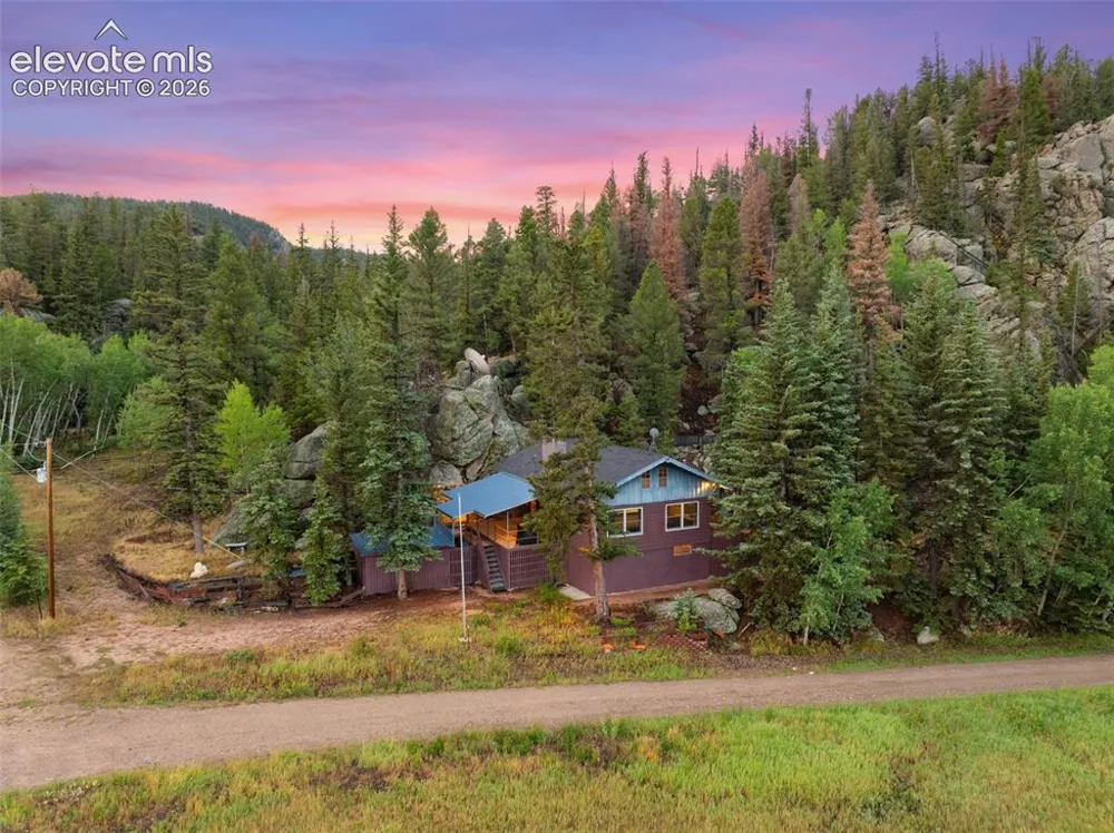 534 Brook Drive Lake George, CO 80827
