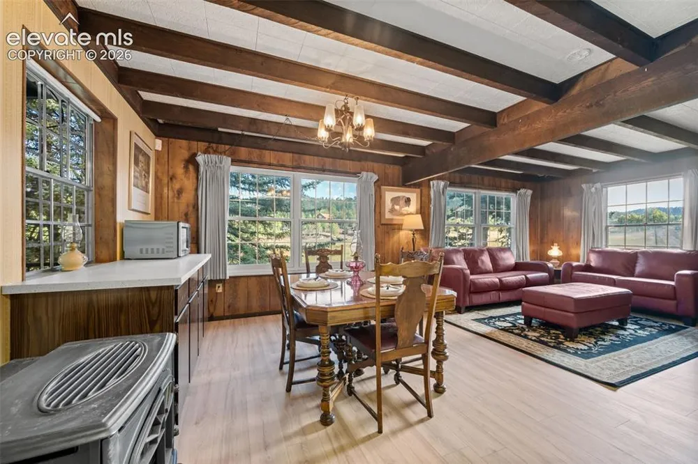 534 Brook Drive Lake George, CO 80827
