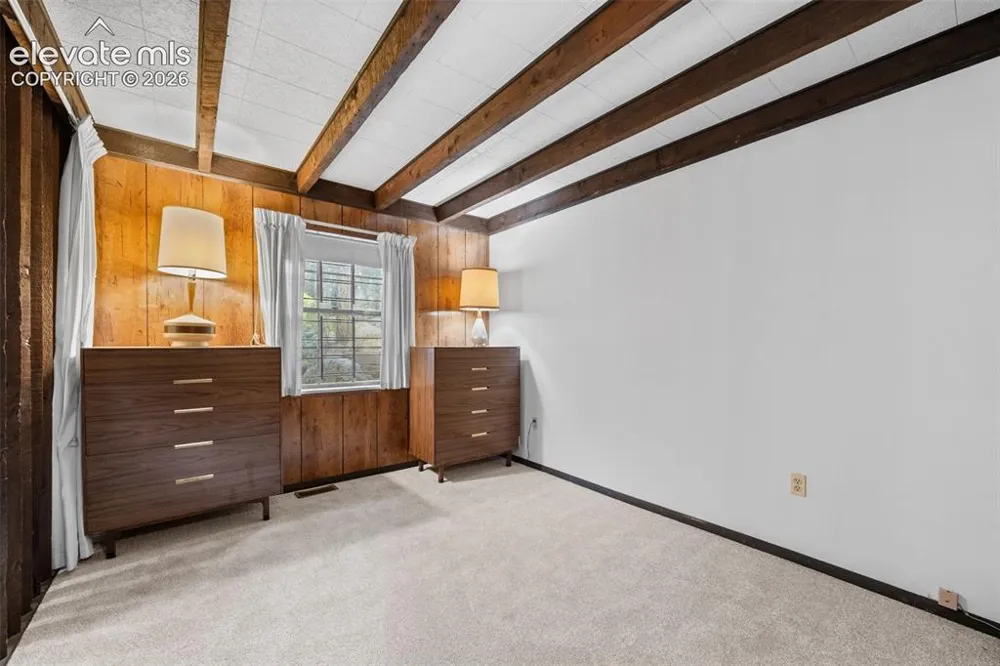 534 Brook Drive Lake George, CO 80827