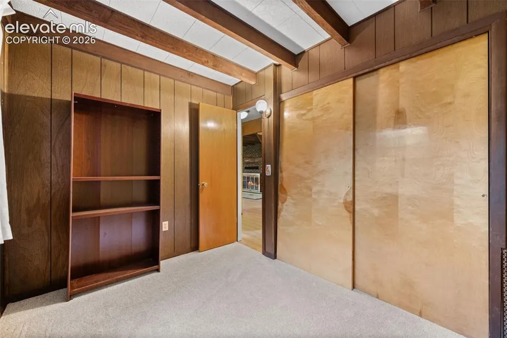 534 Brook Drive Lake George, CO 80827