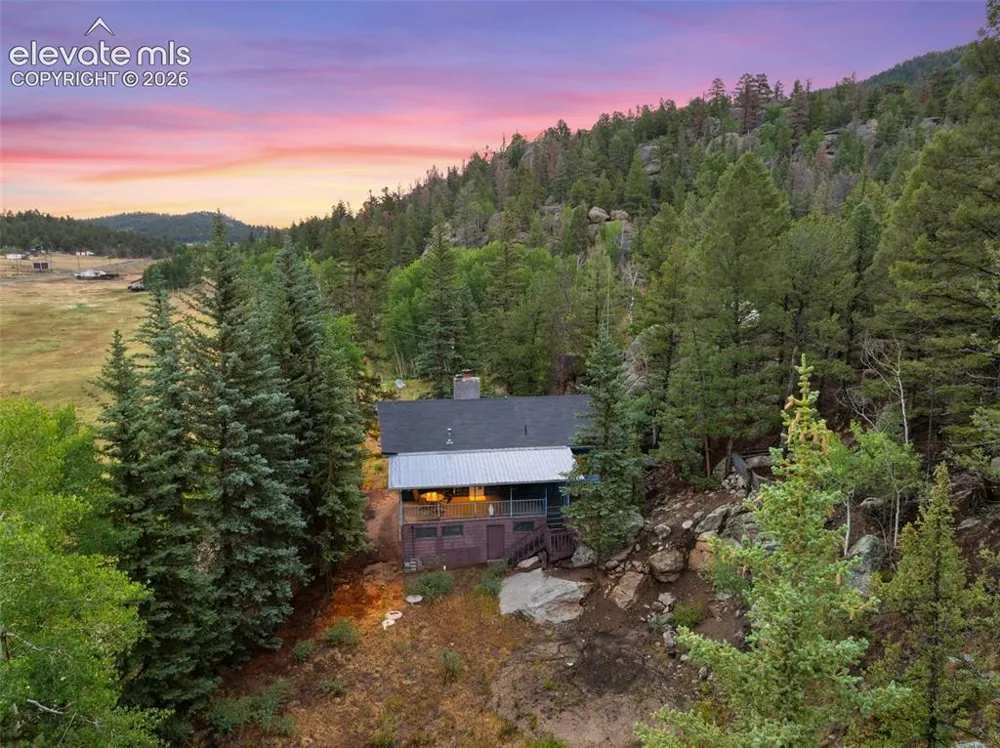 534 Brook Drive Lake George, CO 80827