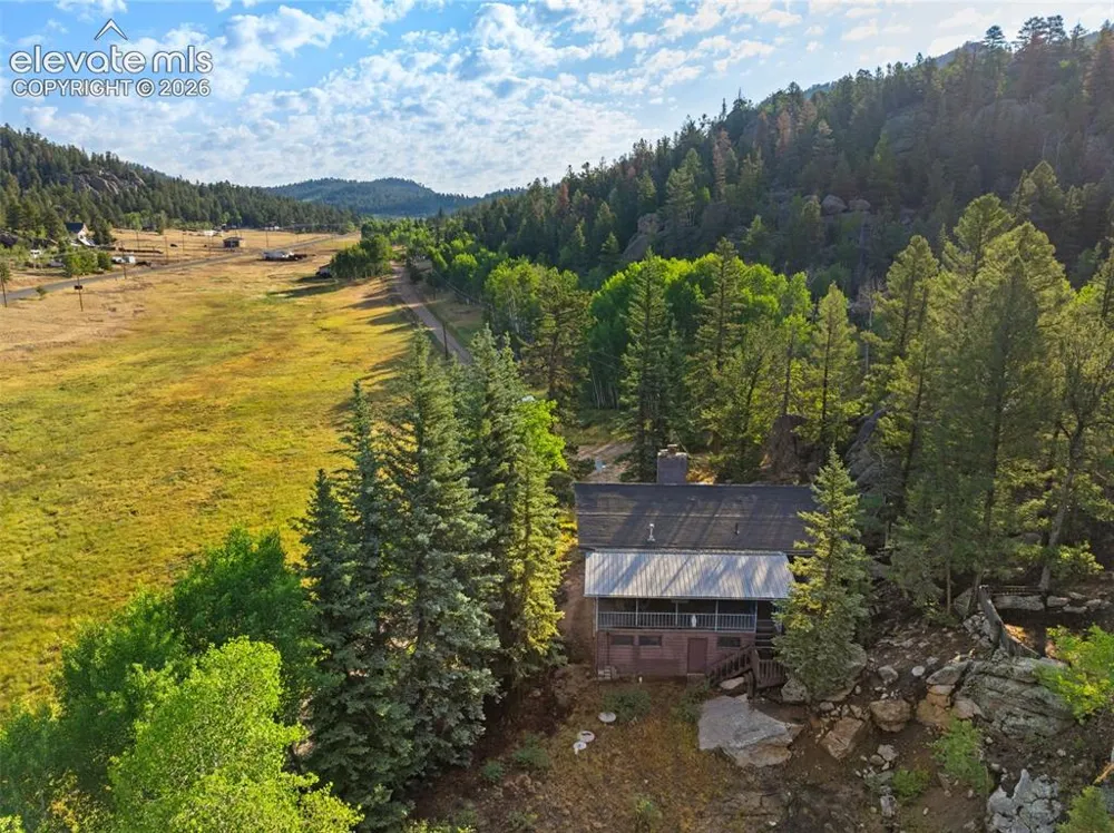 534 Brook Drive Lake George, CO 80827