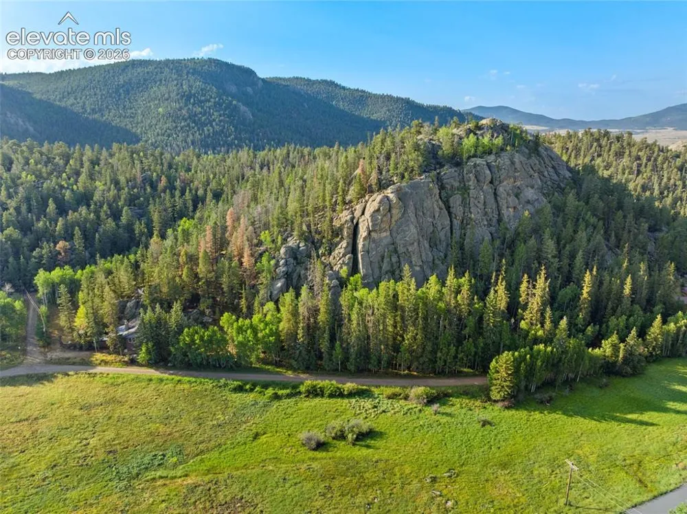 534 Brook Drive Lake George, CO 80827