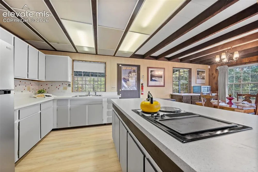534 Brook Drive Lake George, CO 80827