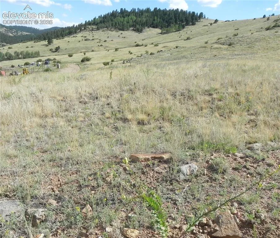 Lot 1-2 Colorado Avenue Cripple Creek, CO 80813