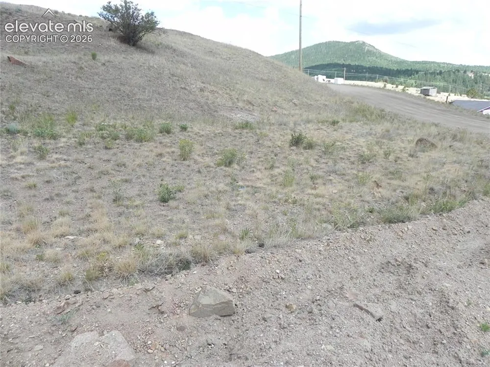 Lot 17-18 S 3rd Street Victor, CO 80860