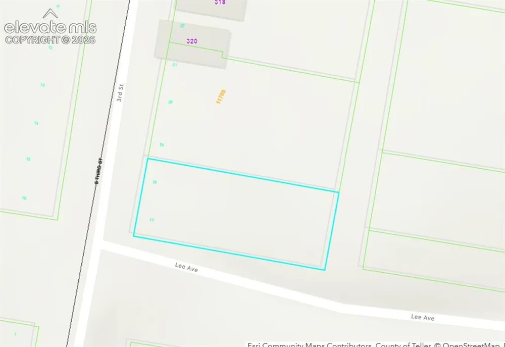 Lot 17-18 S 3rd Street Victor, CO 80860