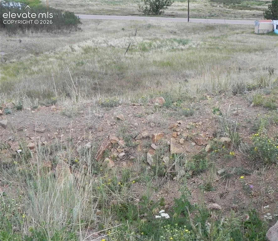 Lot 41-42 S 1st Street Cripple Creek, CO 80813