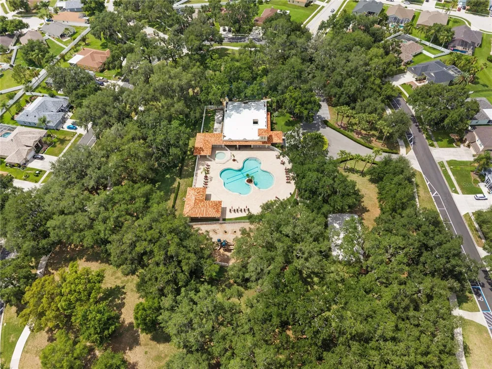 25237 SEVEN RIVERS CIRCLE Land O Lakes, FL 34639