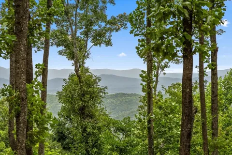 Lot 374 Mountain Ridge Road