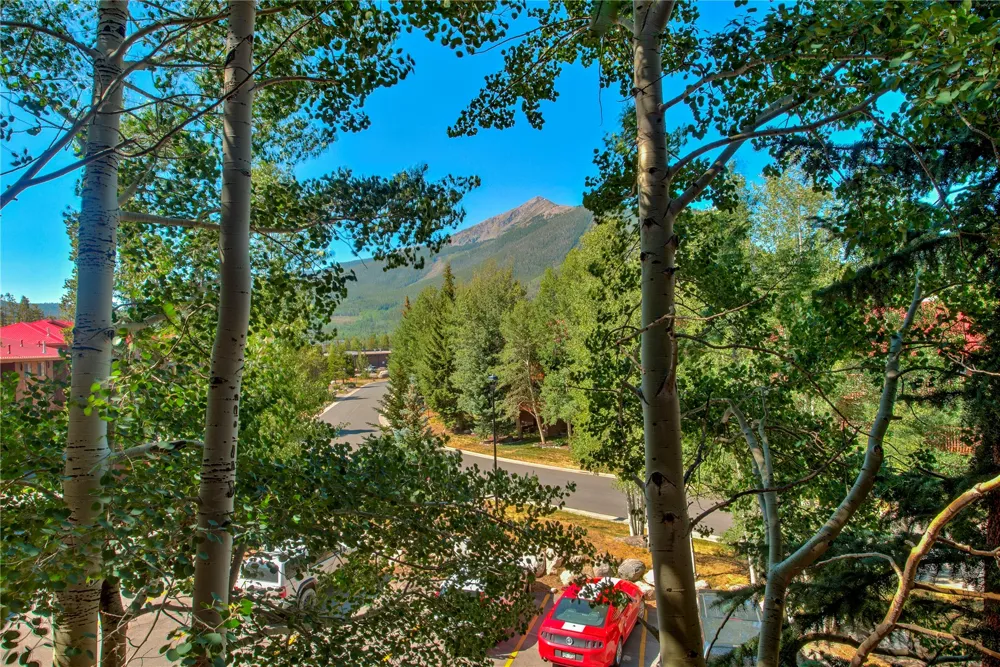 749 Lagoon Drive #2A Frisco, CO 80443