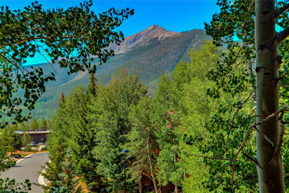 749 Lagoon Drive #2A Frisco, CO 80443