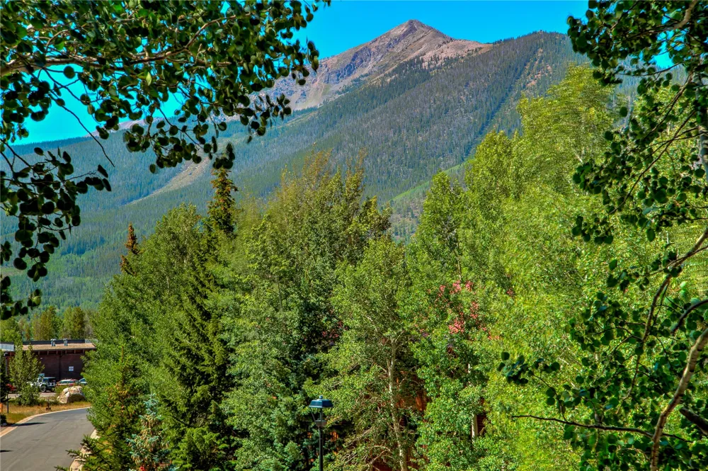749 Lagoon Drive #2A Frisco, CO 80443