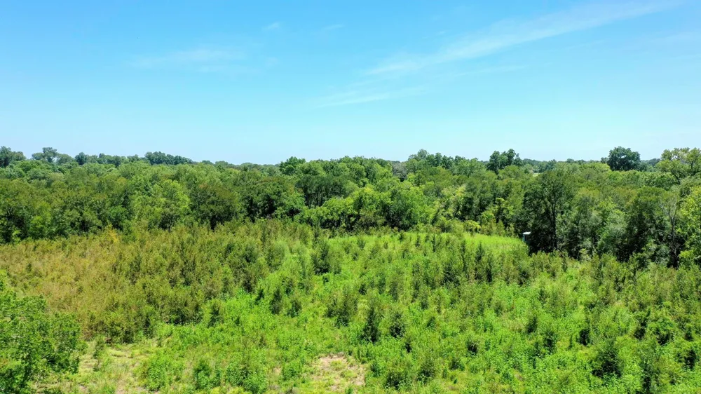 24120 Fm 1155 East Washington, TX 77880