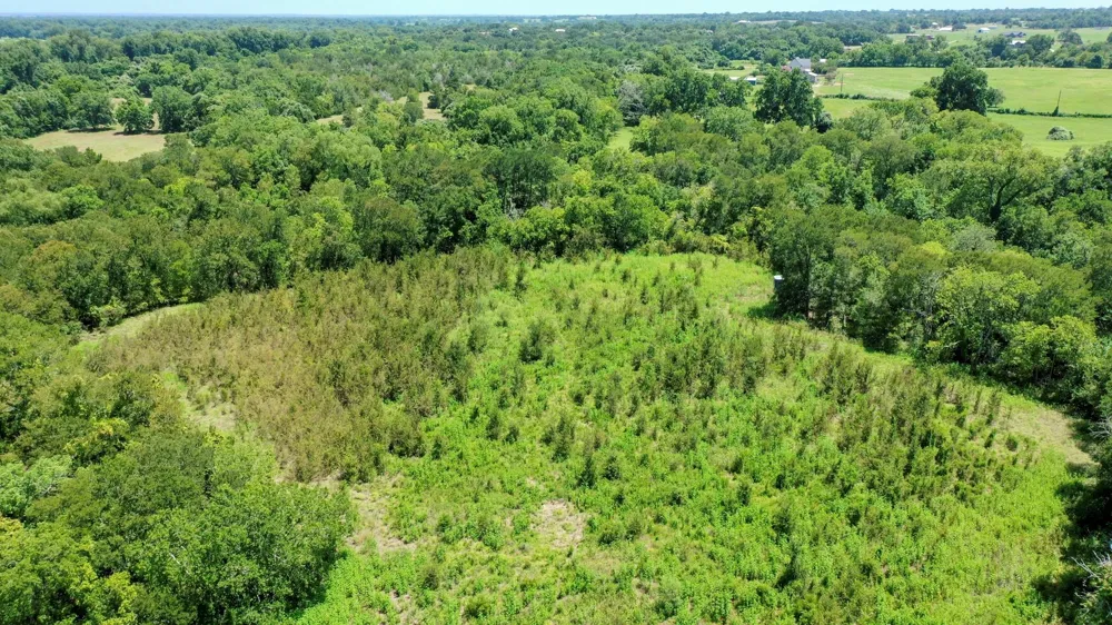 24120 Fm 1155 East Washington, TX 77880