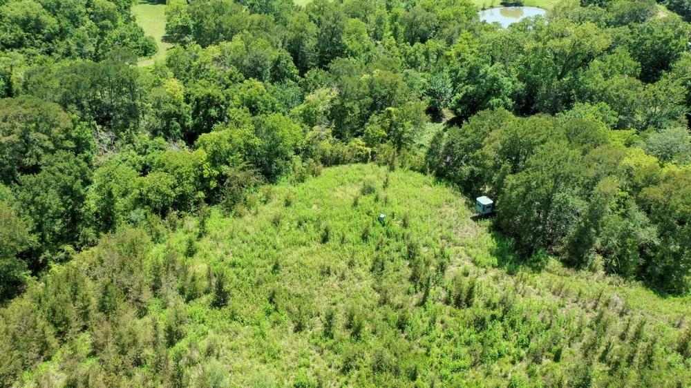 24120 Fm 1155 East Washington, TX 77880