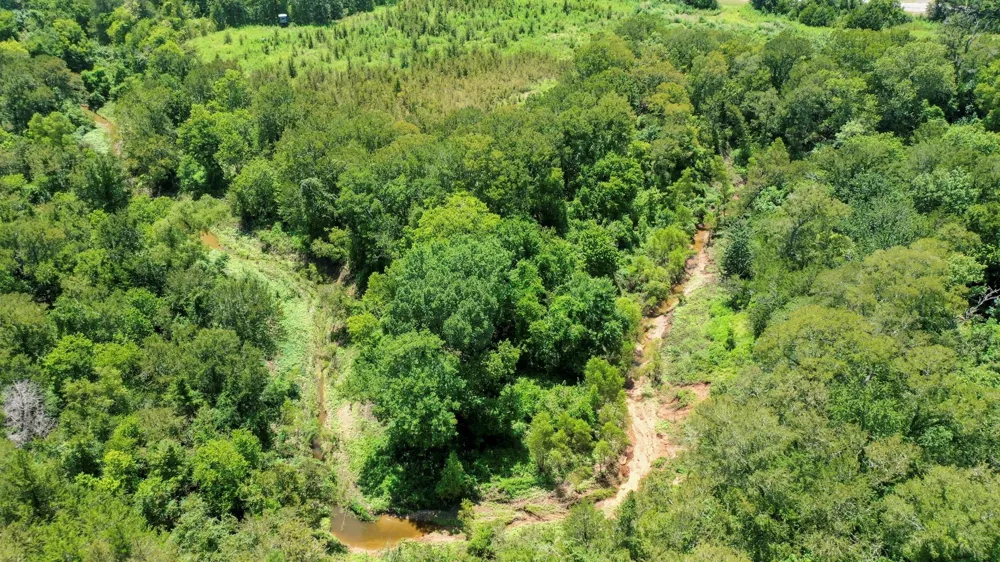 24120 Fm 1155 East Washington, TX 77880
