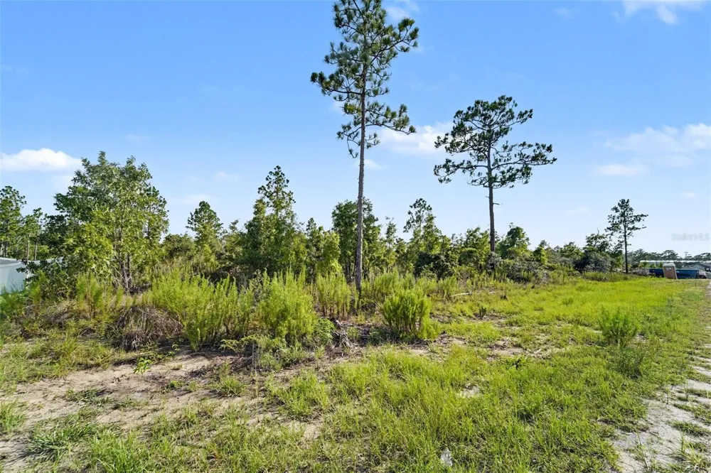 0 SCISSORBILL AVENUE Weeki Wachee, FL 34614